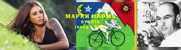 шишки Вязьма
