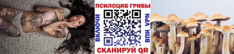 что такое наркотик  Галич  Псилоцибиновые грибы Psilocybine cubensis 